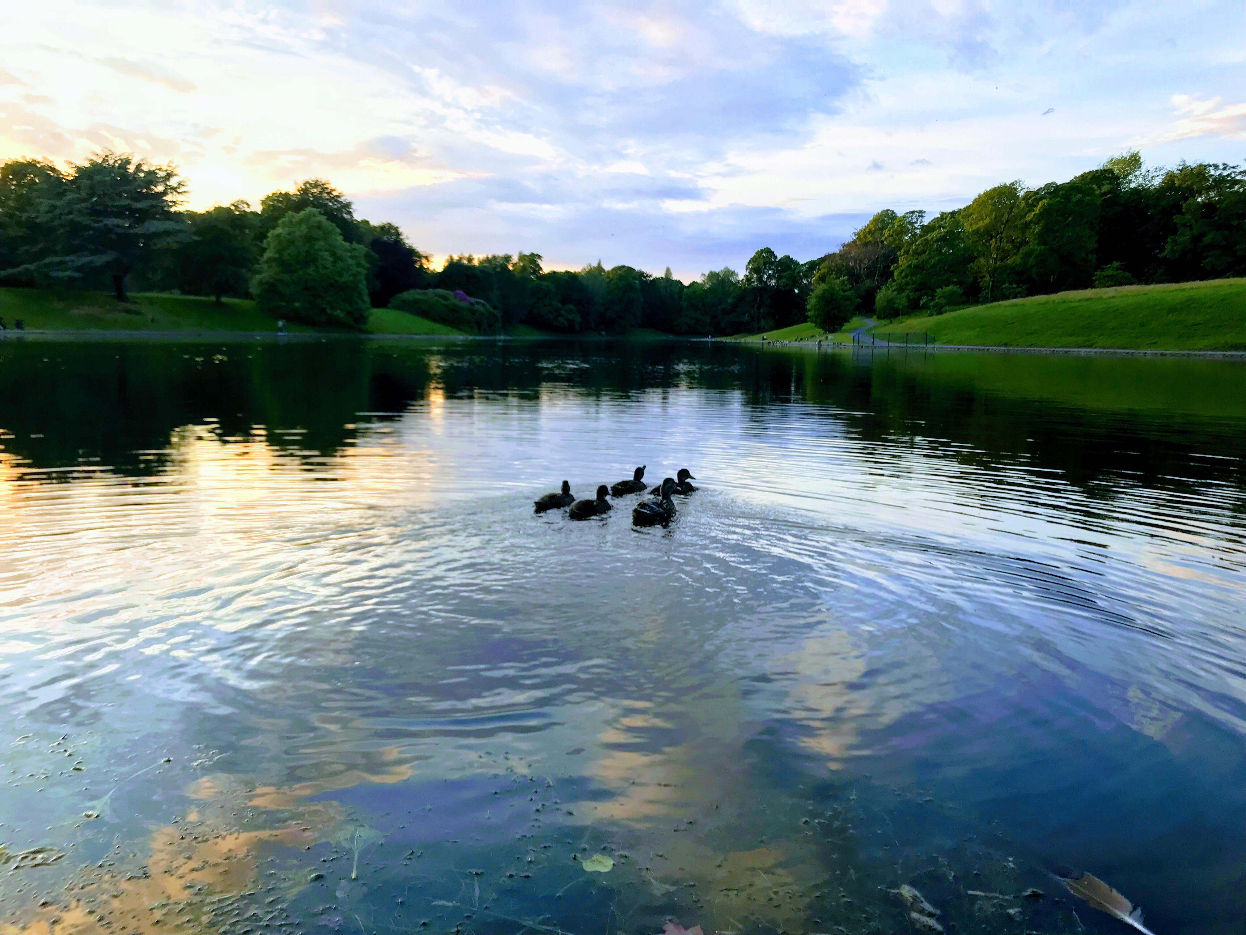 Sefton Park Hotel Liverpool Exterior photo